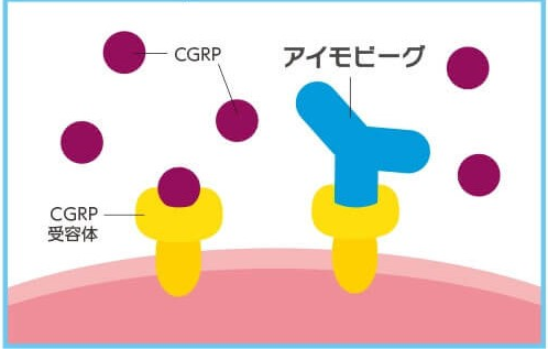 アイモビーグの作用機序